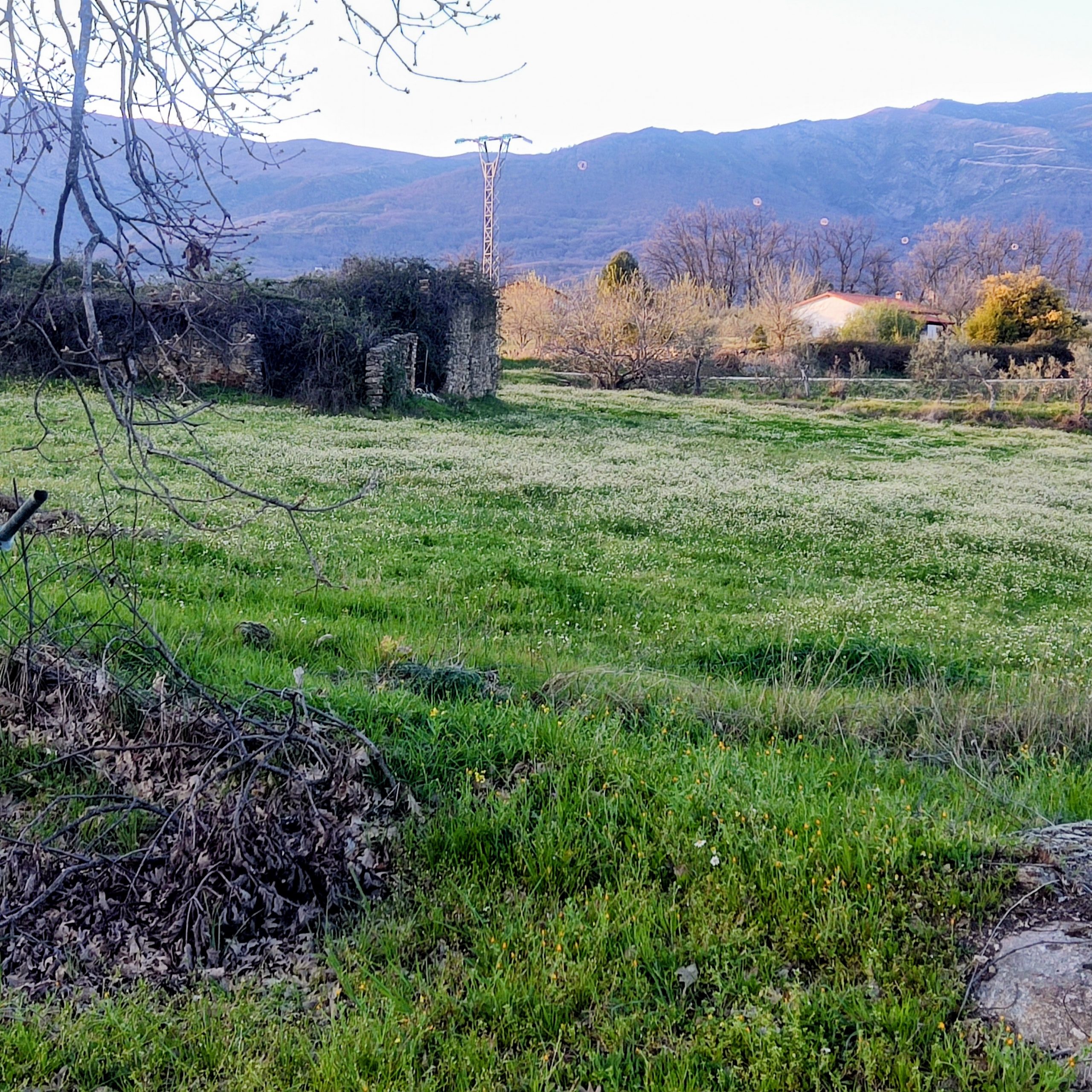 IMG_20260317_190141~2